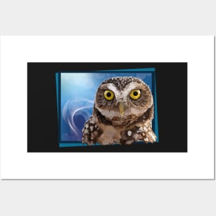 burrowing owl Posters and Art